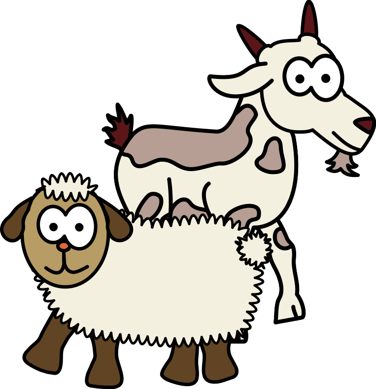 01-sheep&goat