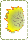 77-bush