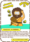 08S-Card