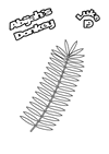 82-Palm-colouring