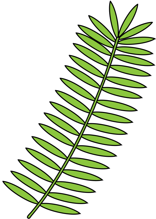 82-Palm