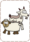 01-sheep&goat