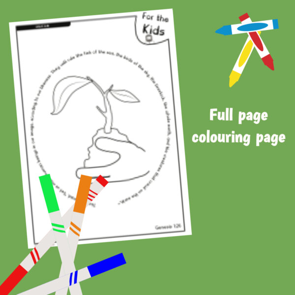 Creation - Pew Pack - Image 3